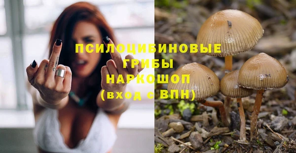 spice Алексеевка