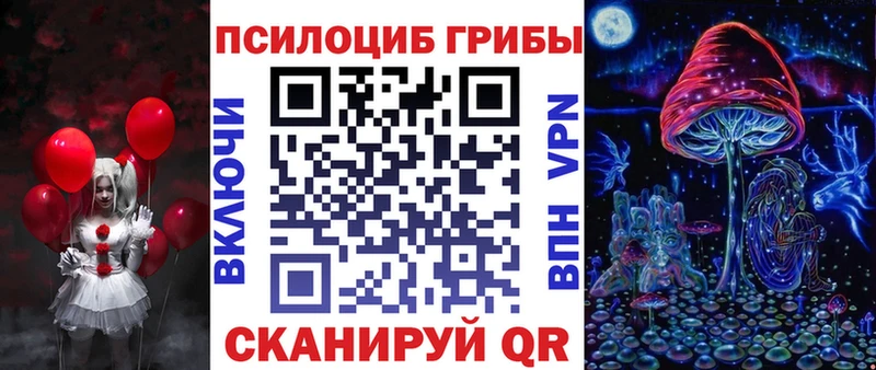 даркнет сайт  Новая Ладога  Псилоцибиновые грибы Cubensis 