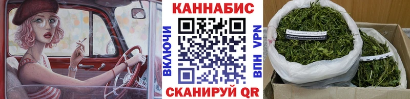 кракен как войти  Новая Ладога  Каннабис AK-47  как найти закладки 